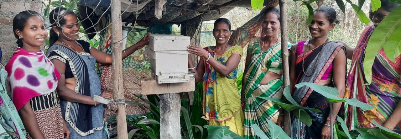 Women beekeeper